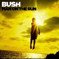 Bush Man on the Run