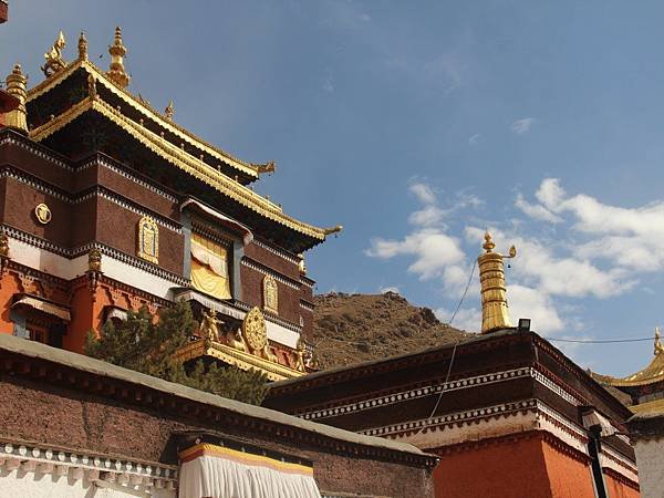 IMG_5515