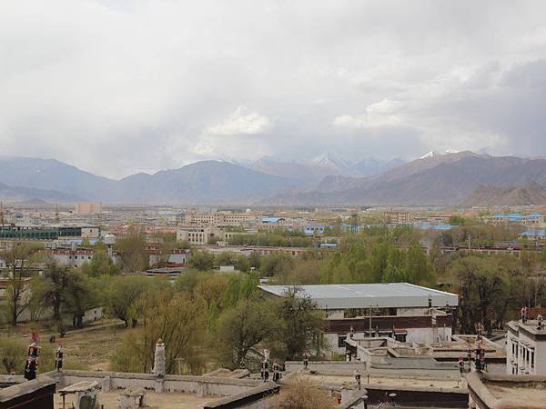 IMG_5575