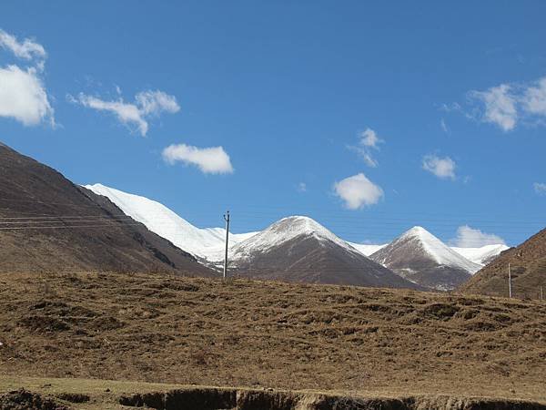 IMG_5915