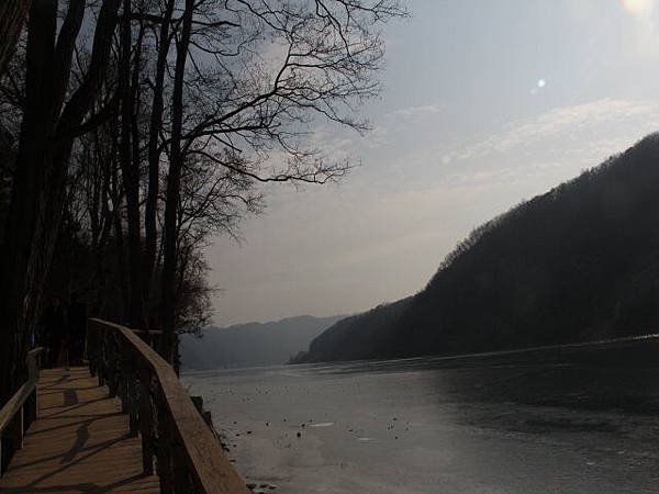 IMG_2729.jpg