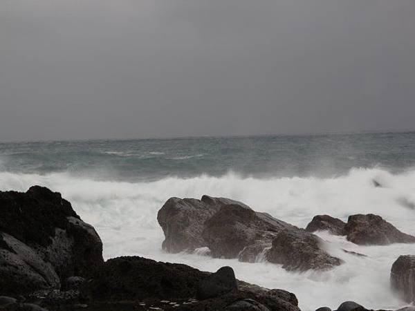 IMG_4915.jpg