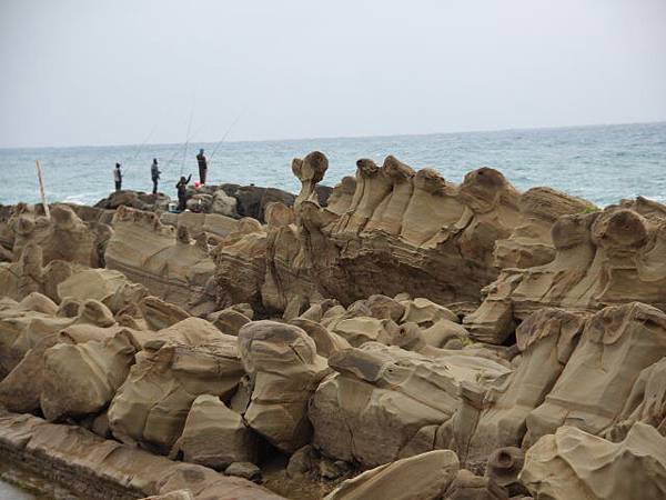 IMG_4921.jpg