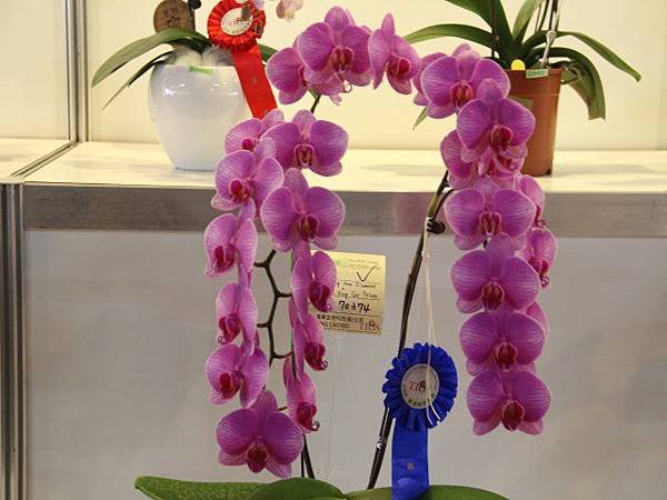 IMG_5389.jpg
