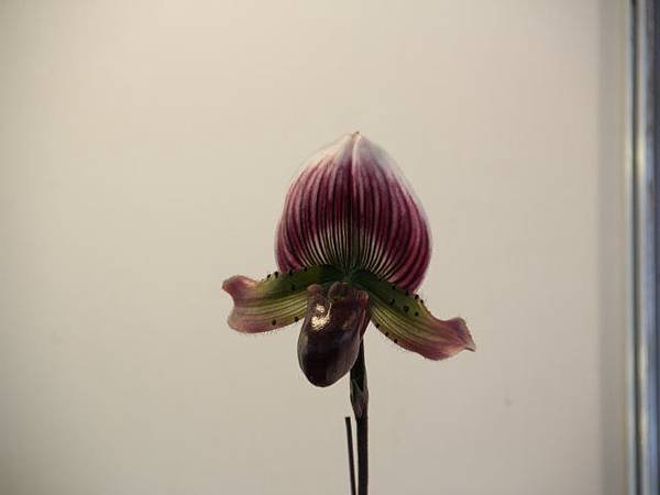 IMG_5422.jpg