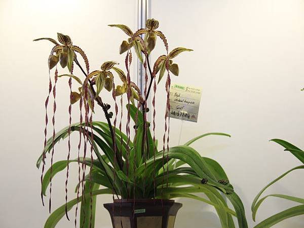 IMG_5433.jpg