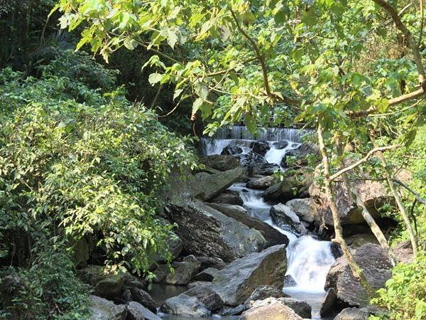 IMG_5537.jpg
