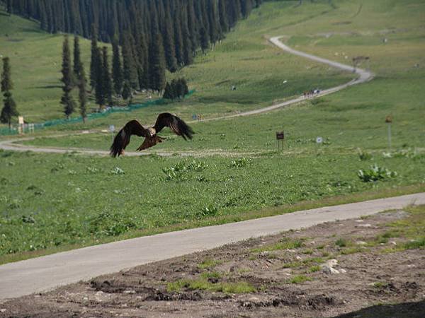 image1434.jpg