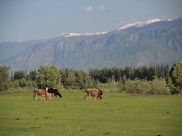 image1460.jpg