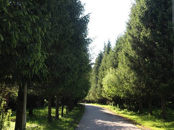image1490.jpg