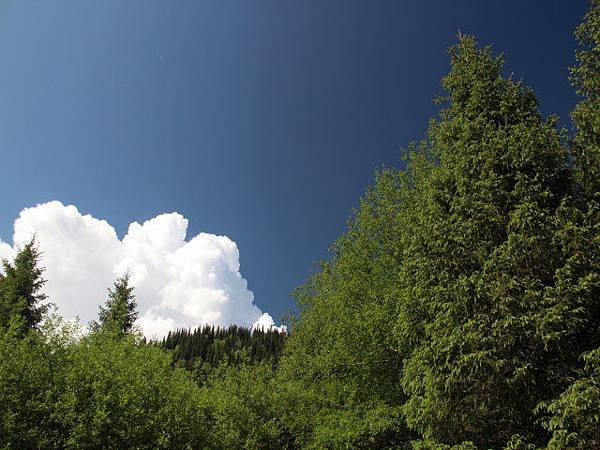 image1502.jpg