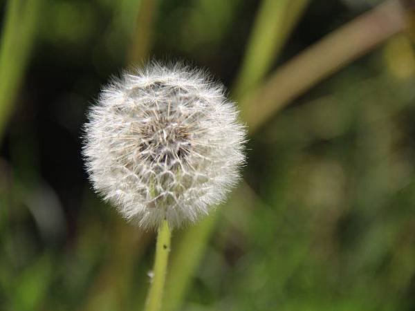 image2482.jpg