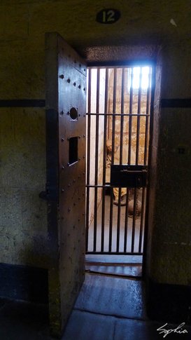 MB03K_33.jpg