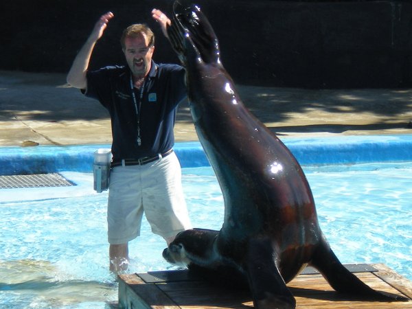 NY Aquarium -看我倒立.JPG