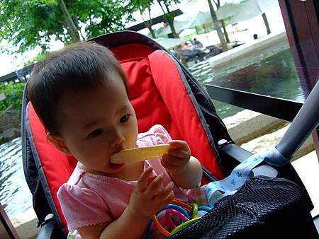 DSCF0821.JPG