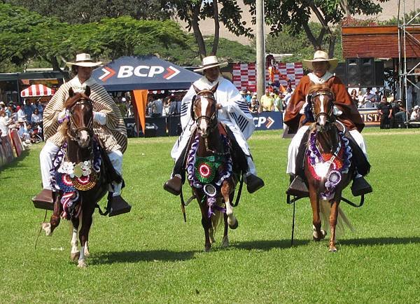 campeon de los campeones