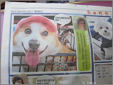Cola名模照.jpg