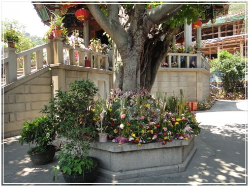 20110723b  南普陀寺  05.jpg