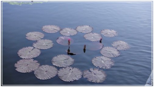 20100717 南普陀寺 52.jpg