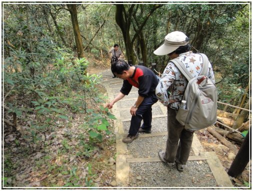 20120329 飛龍古道119