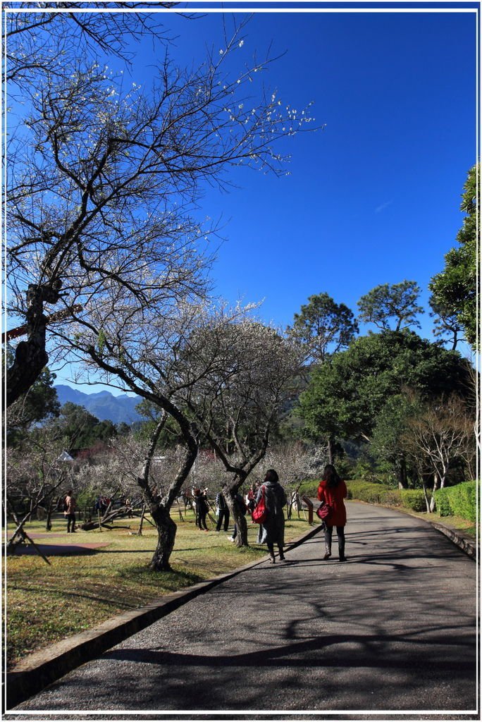 20150113 角板山&amp;Tina廚房午餐 003