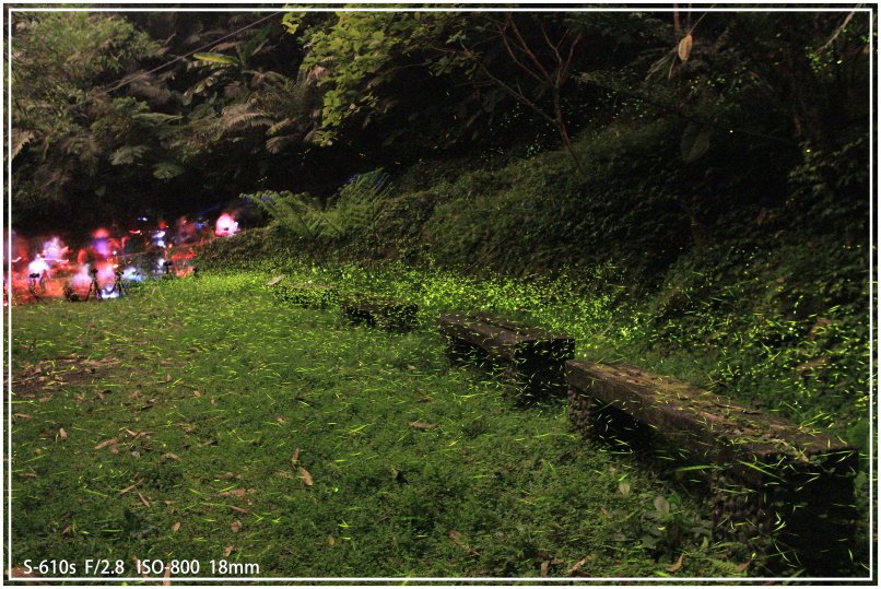 20150417六寮古道 10