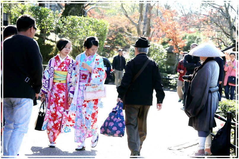 20151202B 清水寺244 