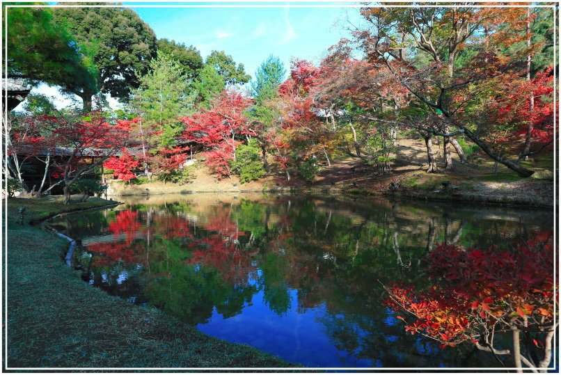 20151202D 高台寺150 