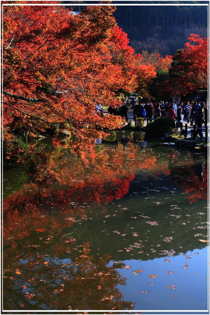 20151202B 清水寺036 