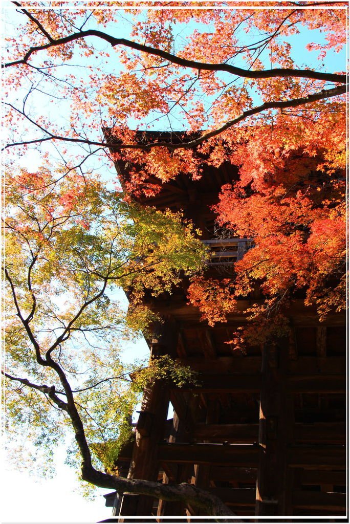 20151202B 清水寺224 