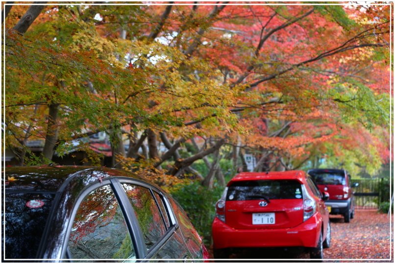 20151203A觀光小火車 191.JPG