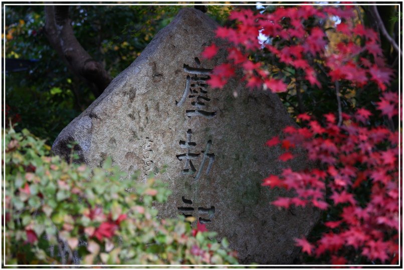 20151203B 常寂光寺 020.JPG