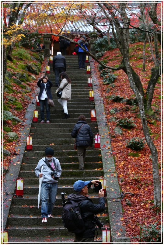 20151203B 常寂光寺 030.JPG