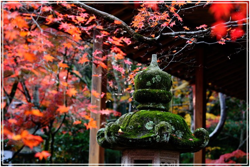 20151203B 常寂光寺 043.JPG