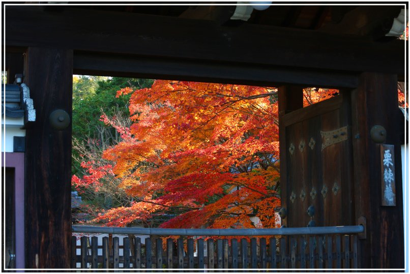 20151205BA東福寺009-1.JPG