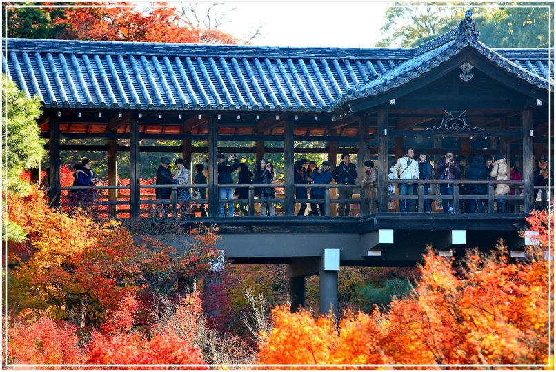 20151205BA東福寺035-1.JPG