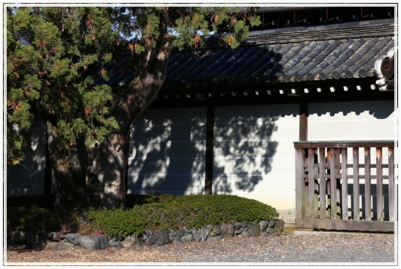 20151205BA東福寺076-1.JPG