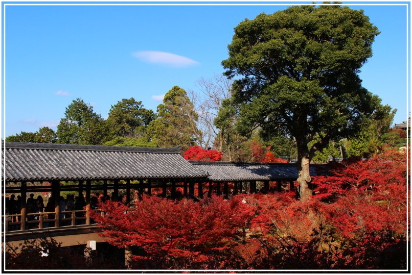 20151205BA東福寺169-1.JPG