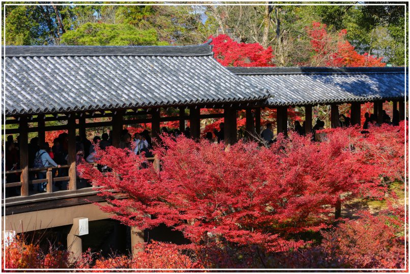 20151205BA東福寺195-1.jpg