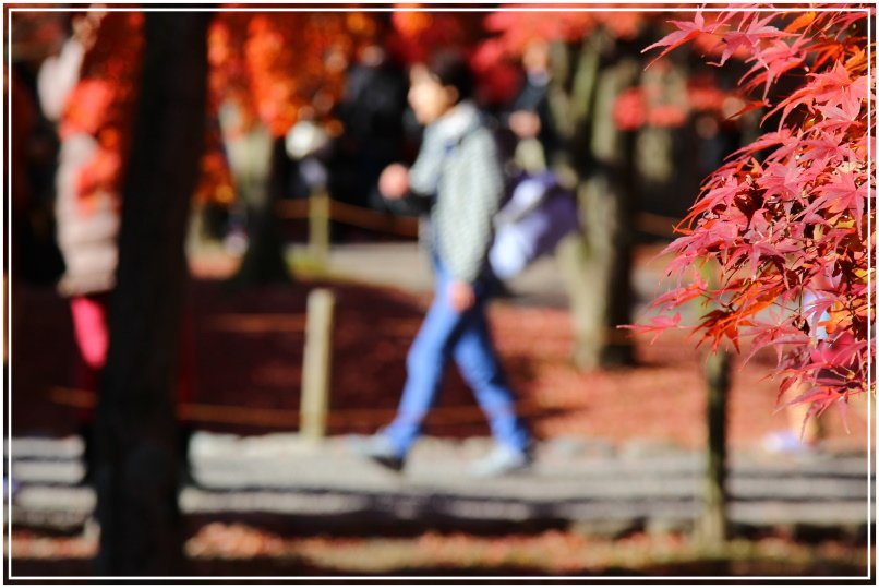 20151205BA東福寺215-1.JPG