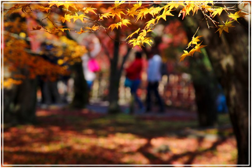 20151205BA東福寺218-1.JPG