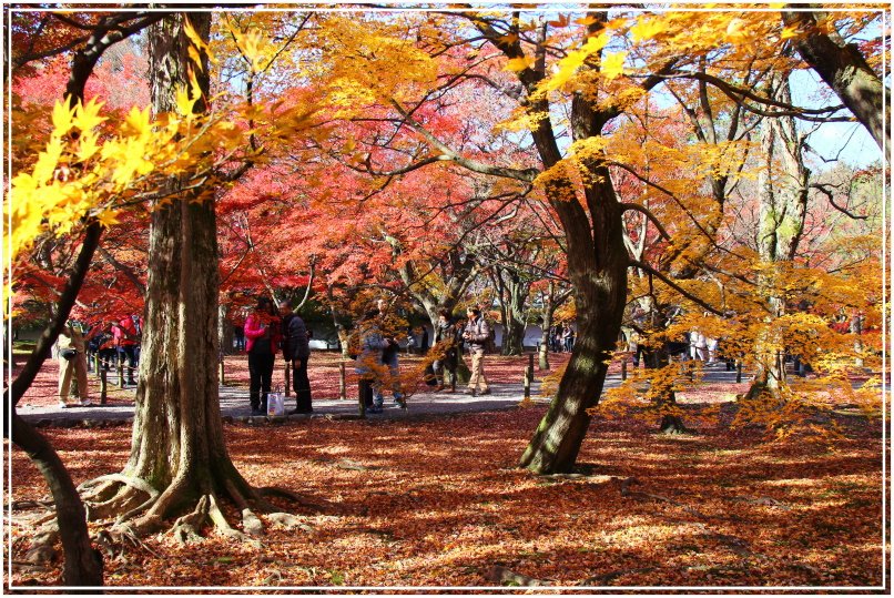 20151205BA東福寺221.JPG