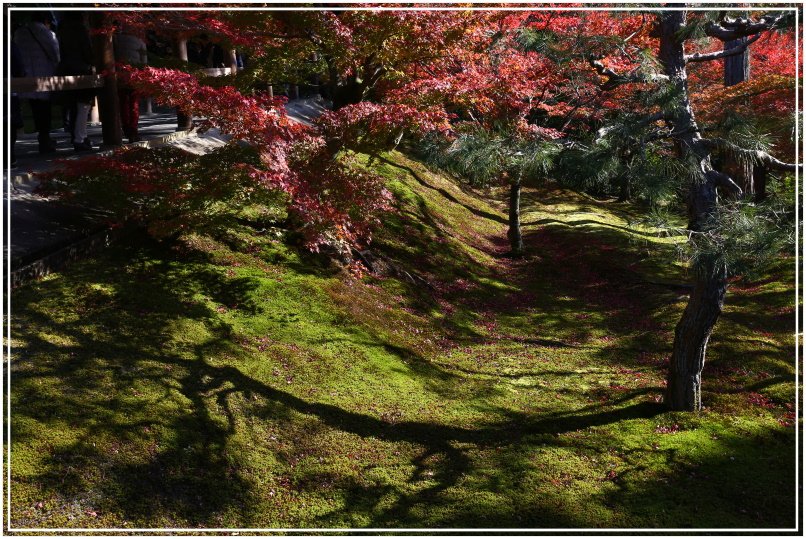 20151205BA東福寺265-1.JPG