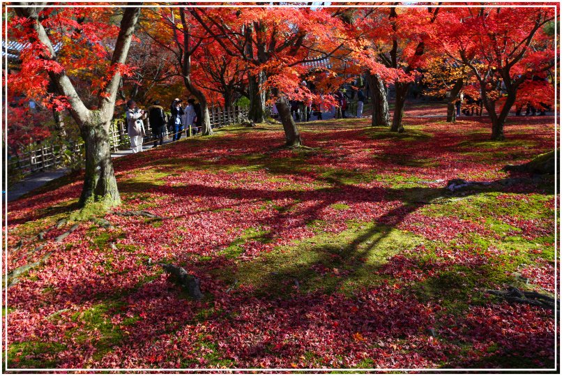 20151205BA東福寺376-1.JPG