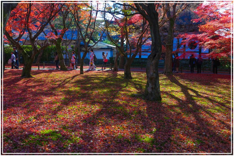 20151205BA東福寺383-1.JPG