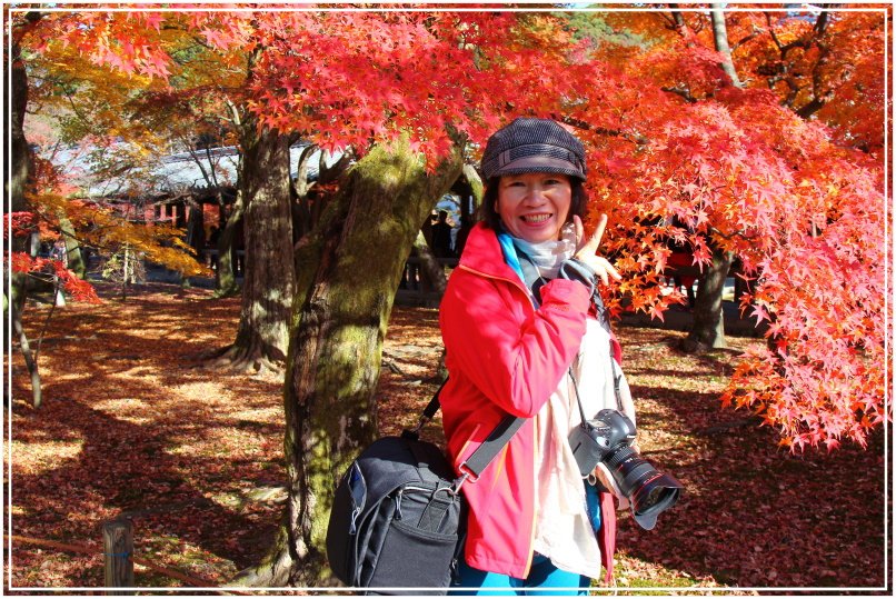 20151205BA東福寺437-1.JPG
