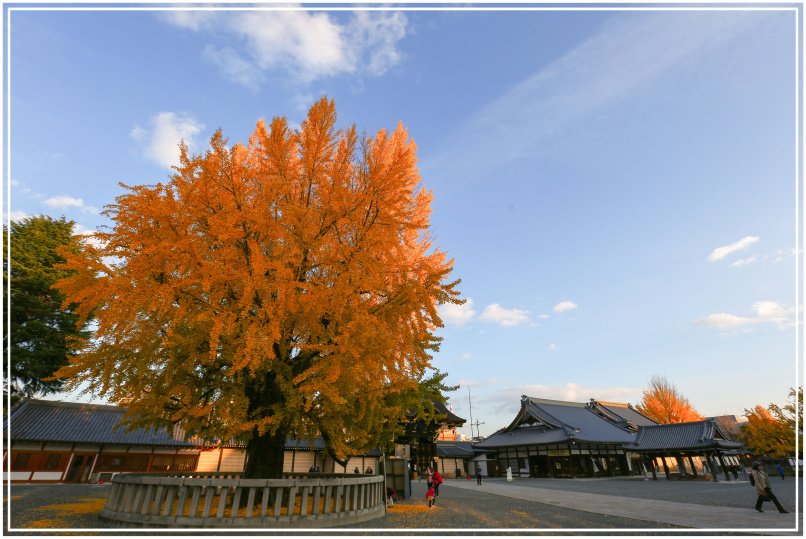 20151205DA西本願寺022-1