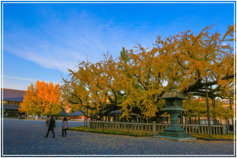 20151205DA西本願寺064-1