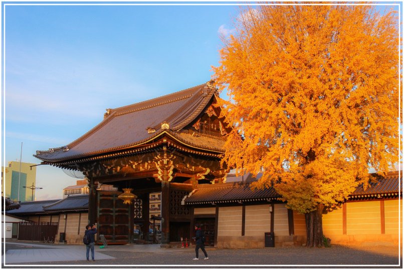 20151205DA西本願寺071-1