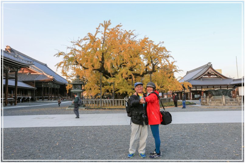 20151205DA西本願寺078-1